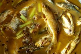 铁锅炖鱼锅贴（锅贴鱼的做法）