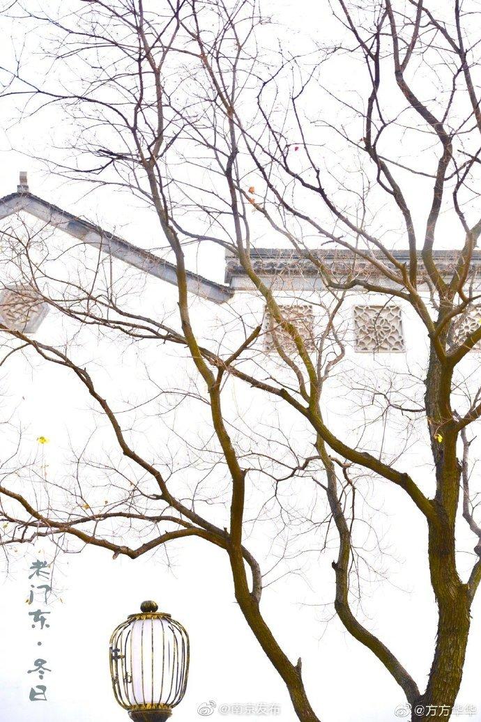 【初冬的老门东~】水墨画疏窗,孤影淡潇湘.乌桕枝丫展