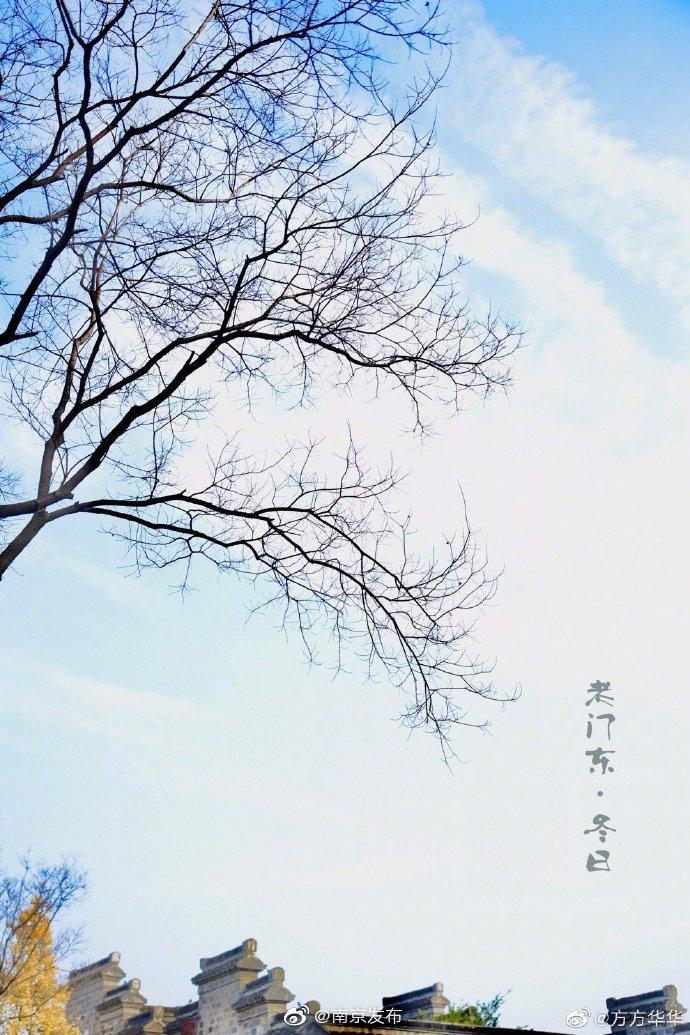 【初冬的老门东~】水墨画疏窗,孤影淡潇湘.乌桕枝丫展