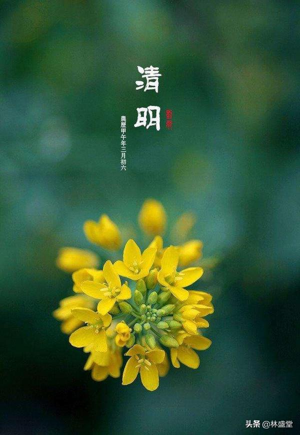 祭奠词（祭奠词语）