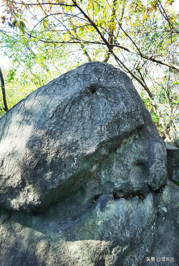 彗星社9月(彗星社1月)
