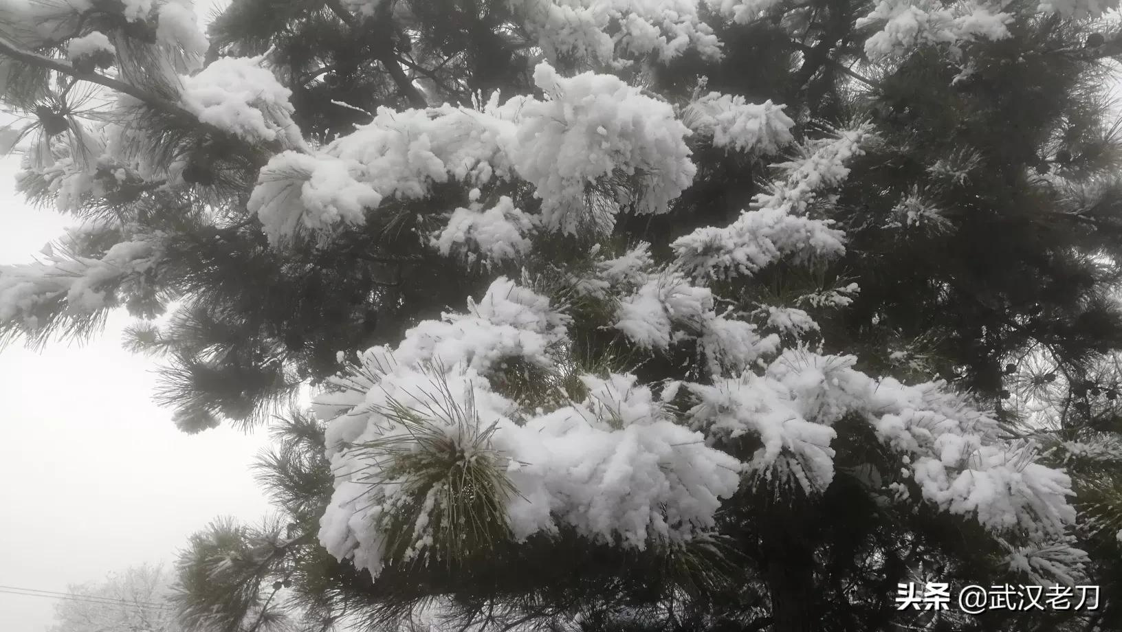 老刀：北京遇雪……