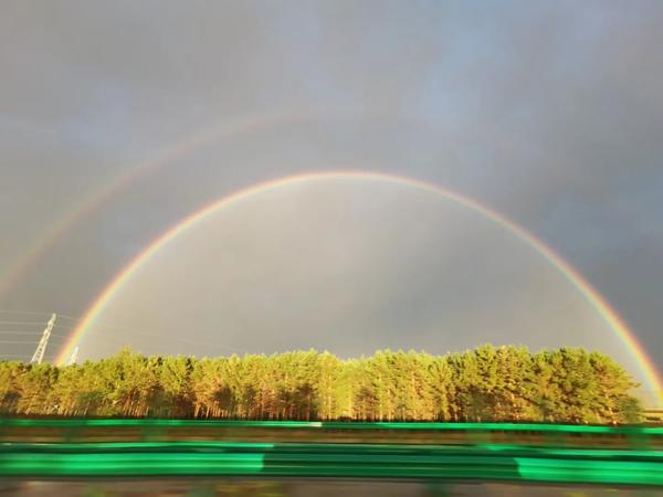 白居易喜欢琵琶女吗（白居易跟琵琶女）