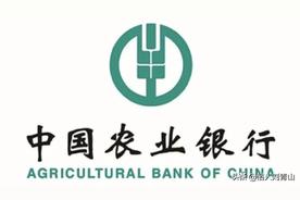 中国农业银大额存单20万利率（农行大额存单20万一年利息是多少）