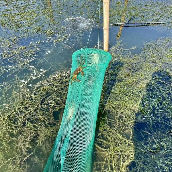 老板交友软件（老板交友软件有哪些）