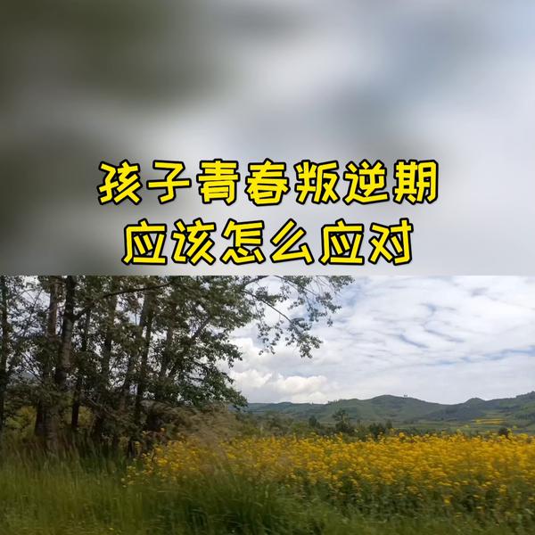 6205345905_d59a564256-160x160