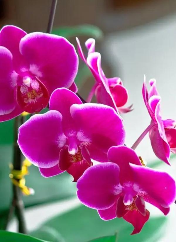 夸人聪明的句子100字(夸人聪明的句子100字怎么写)