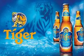 虎牌啤酒是哪个国家的品牌（新加坡啤酒老品牌）