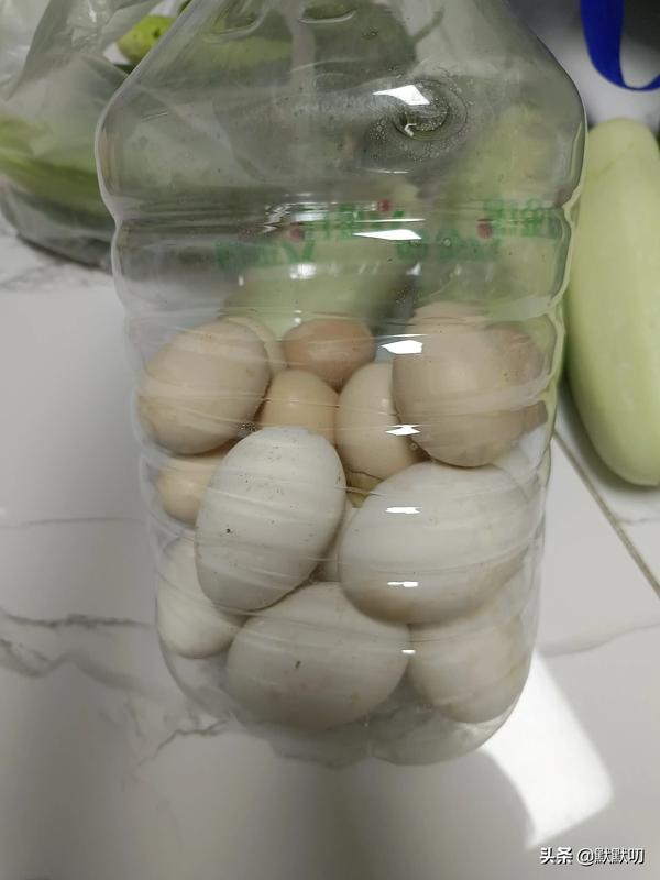 夜市卖什么小吃最好卖（成都夜市小吃卖什么最火）