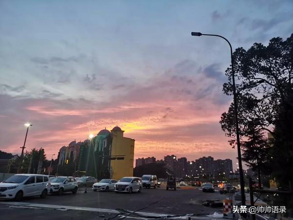 男主木讷老实暗恋女主的小说(男主老实木讷暗恋女主)