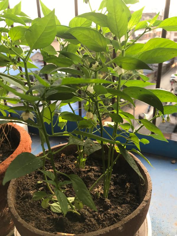 梦见发大水把路淹了是什么征兆(梦到发大水把路淹了)