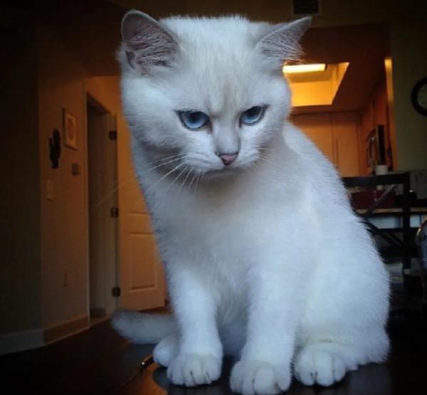 明星2个字(明星2个字男)