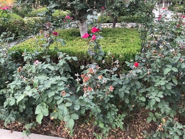 三十年发小的感情句子（四十年发小的感情句子）