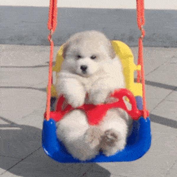 生活不易猫猫叹气怎么接（生活不易猫猫叹气怎么回）