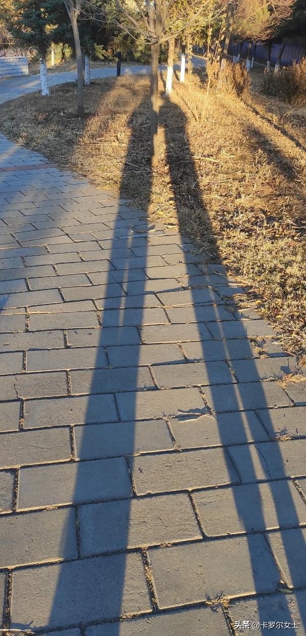 说谎成瘾的人有什么人格缺陷（说谎成瘾的人有什么人格缺陷透视男人心里）