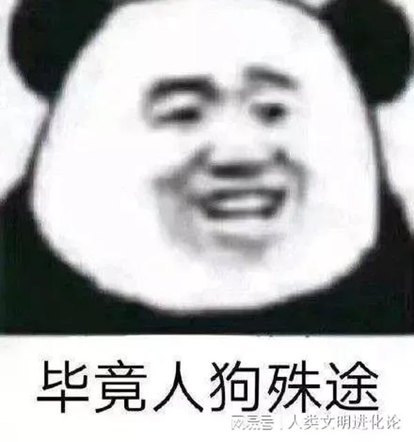 他们那时候多有趣啊原著（他们那时候多有趣啊原书）