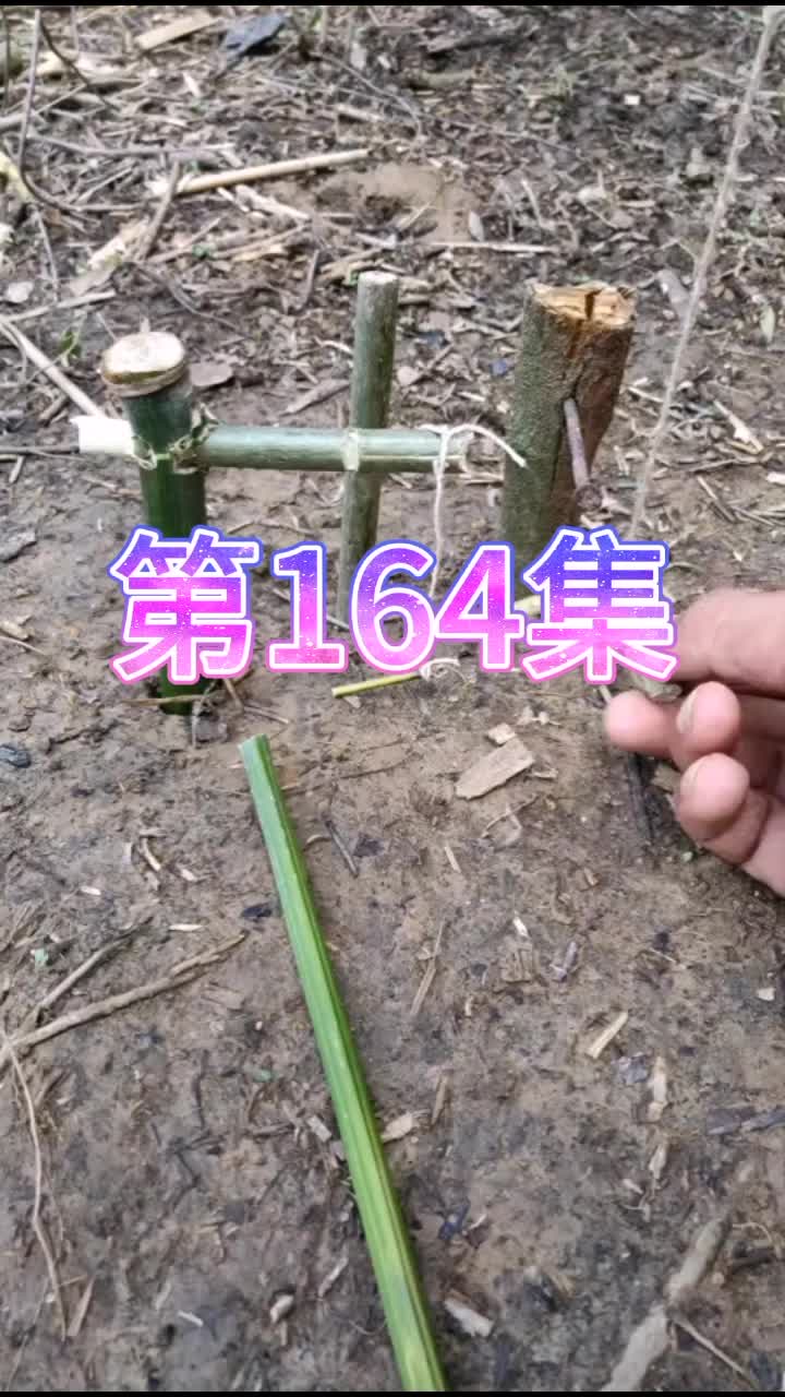 野外陷阱,有玩过的朋友吗? #抖音小助手