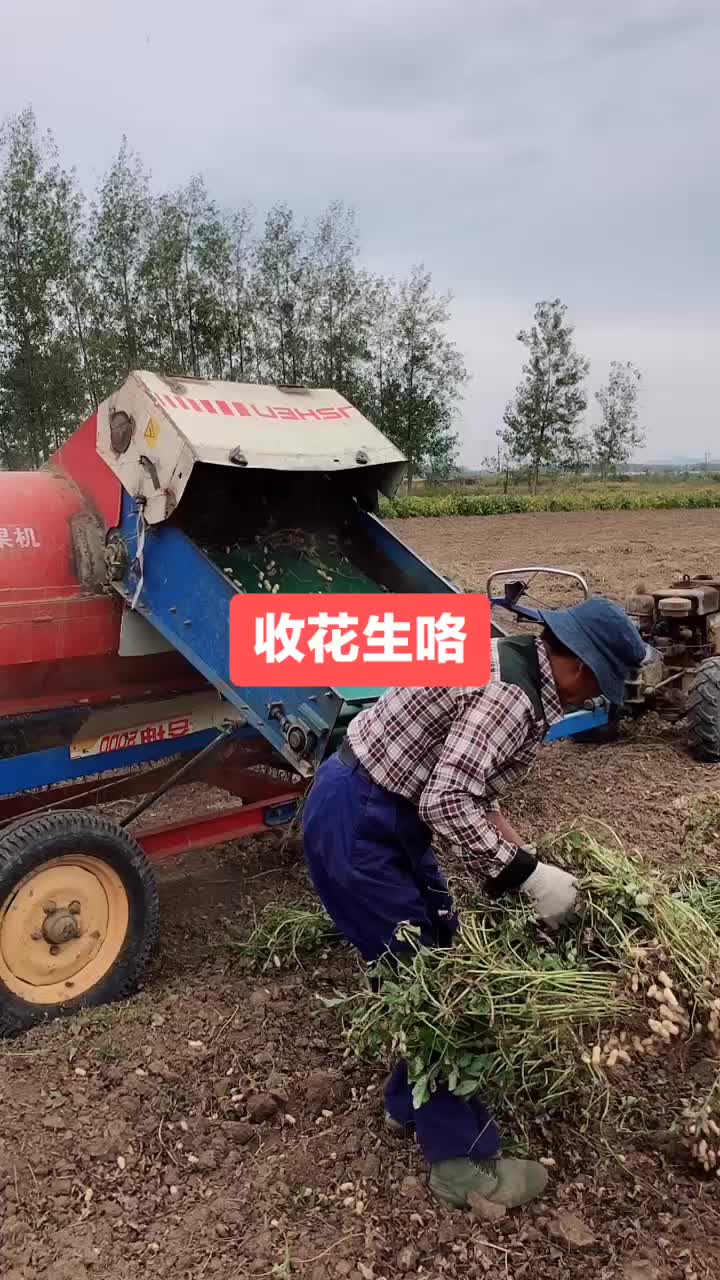 新型收花生机械,不孬#岁岁又重阳