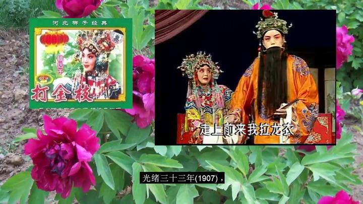 河北梆子打金枝银达子韩俊卿金宝环老父王你一听生了气