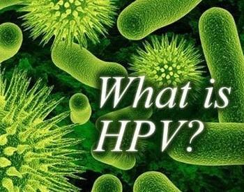 HPV的自述——攻占子宫颈三部曲