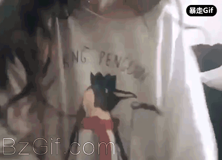 暴走Gif内涵美女动图第102弹 福利Gif-第2张