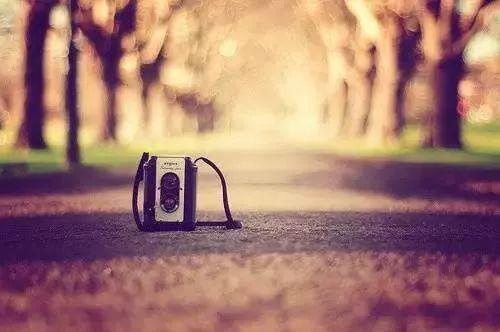 图片[2]-Fortuitousness 偶然-笑傲英语网