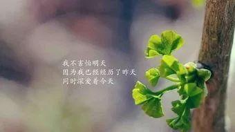 图片[3]-双语阅读：If（含MP3录音）-笑傲英语网