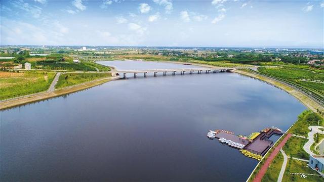 《康桥枣》是怎样结成的一一