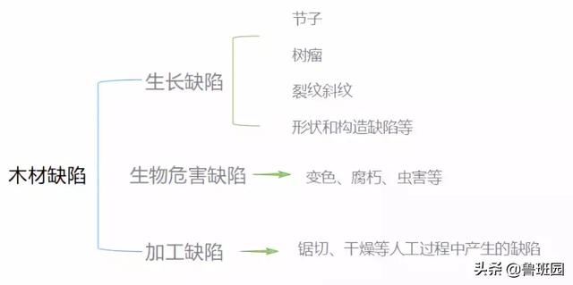 知识 | 有备而无患!一篇文章解读木材各类缺陷及应对措施!-第6张图片-上海吉湄仓储设备有限公司 知识 |<img src=
