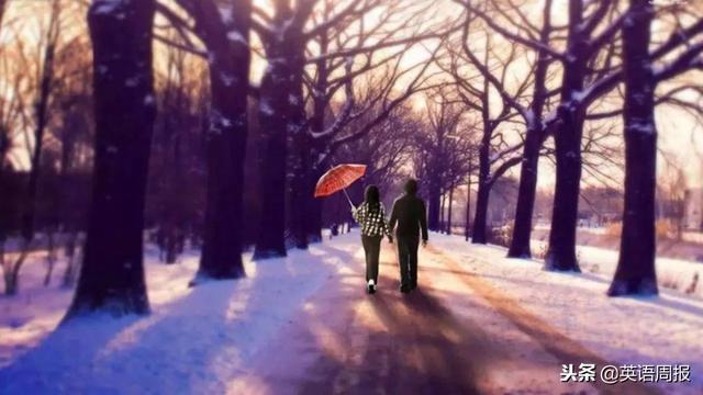 图片[5]-Love at First Sight  一见钟情-笑傲英语网