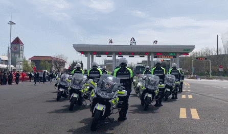 446_263gif 动态图 动图