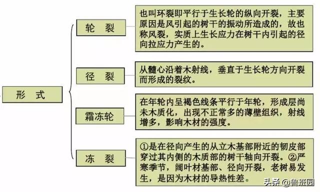 知识 | 有备而无患!一篇文章解读木材各类缺陷及应对措施!-第10张图片-上海吉湄仓储设备有限公司 知识 |<img src=