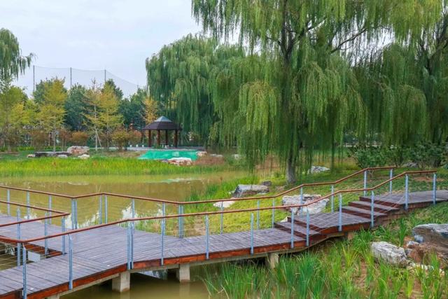 海淀这个郊野公园扩容！坐拥“湿地”美景，还免费！