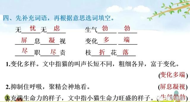 猫生字拼音组词等知识点归类预习及练习