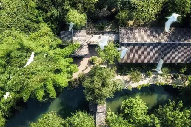30亩森林400㎡宅院，这个“史上最奢侈房子”竟是主人捡垃圾造的