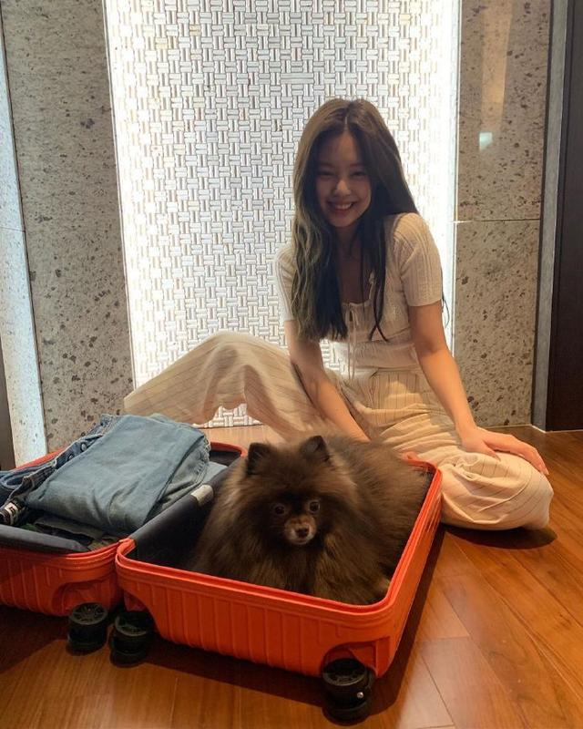 blackpink jennie,对伴侣犬kuma的爱情."我想一起去"