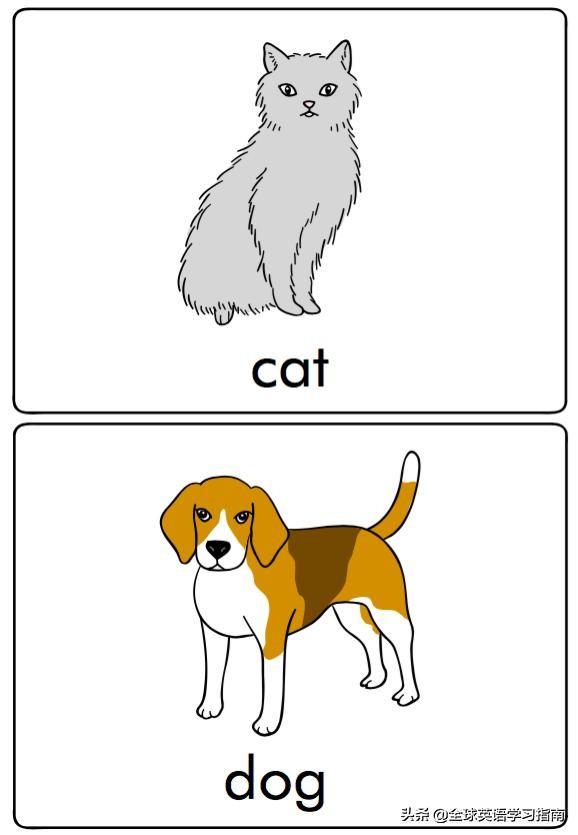 图片[8]-113张图让你记住所有动物类英语单词，分类汇总，建议收藏起来-笑傲英语网