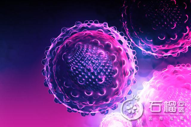圆环病毒怎么治疗