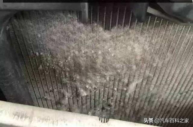 图片[2]_在柳絮多的地方开车，水箱需要加个防护网吗？_5a汽车网