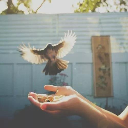 图片[9]-十句最温柔的英文美句-笑傲英语网