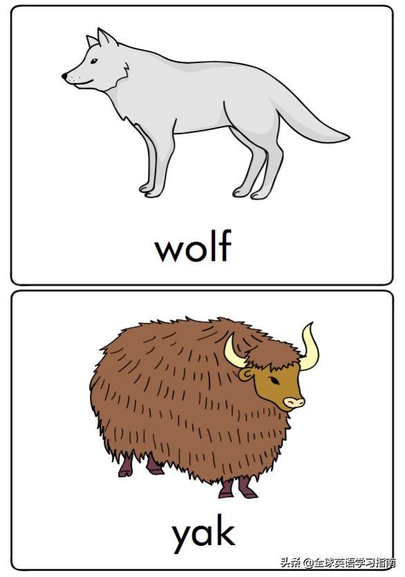 图片[11]-113张图让你记住所有动物类英语单词，分类汇总，建议收藏起来-笑傲英语网