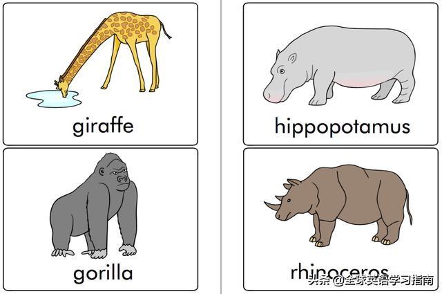 图片[16]-113张图让你记住所有动物类英语单词，分类汇总，建议收藏起来-笑傲英语网