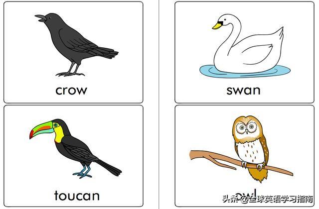 图片[34]-113张图让你记住所有动物类英语单词，分类汇总，建议收藏起来-笑傲英语网