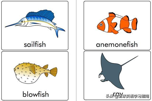图片[5]-113张图让你记住所有动物类英语单词，分类汇总，建议收藏起来-笑傲英语网