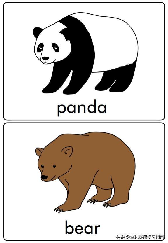 图片[12]-113张图让你记住所有动物类英语单词，分类汇总，建议收藏起来-笑傲英语网