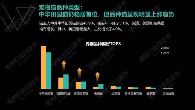 在中国最受迎接饲养最多的，不是外来品种猫，而是人尽皆知田园猫