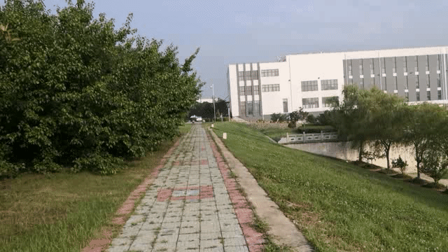 轻松便携、高性价比、MOZA魔爪Mini-s手机云台稳定器评测