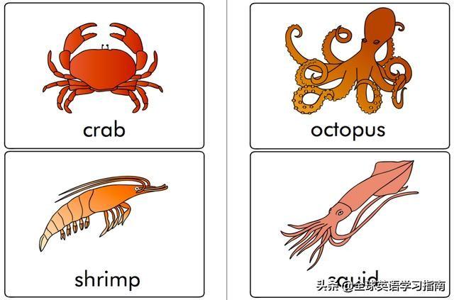 图片[4]-113张图让你记住所有动物类英语单词，分类汇总，建议收藏起来-笑傲英语网