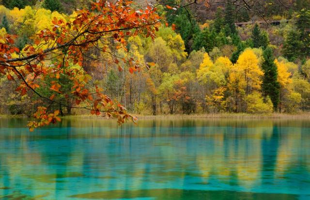 九寨沟旅游在哪