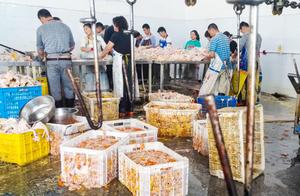 Just gave the pullet of housing, its lifetime is h